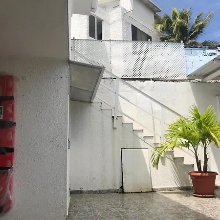 Tropical Dreams-3